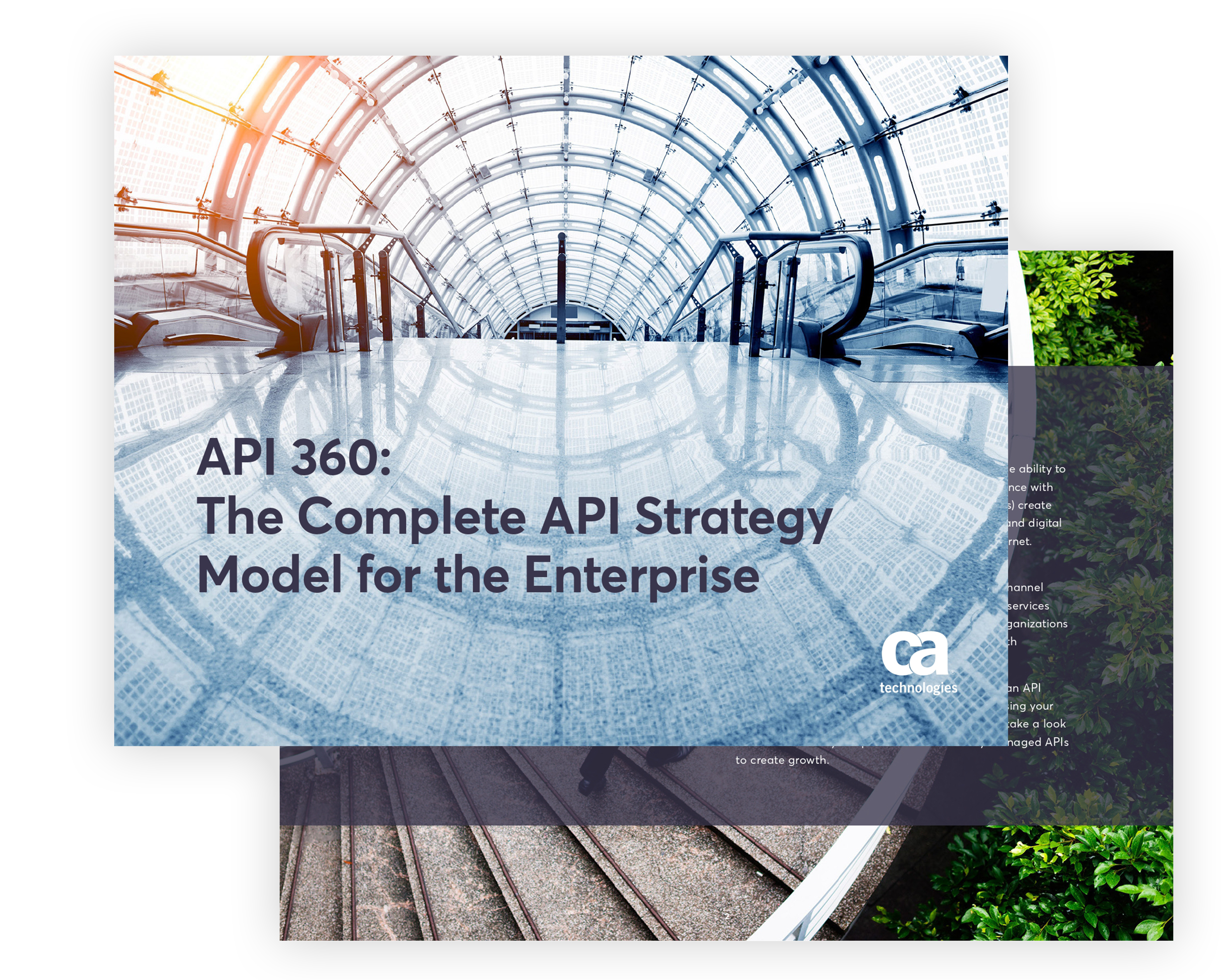 API 360