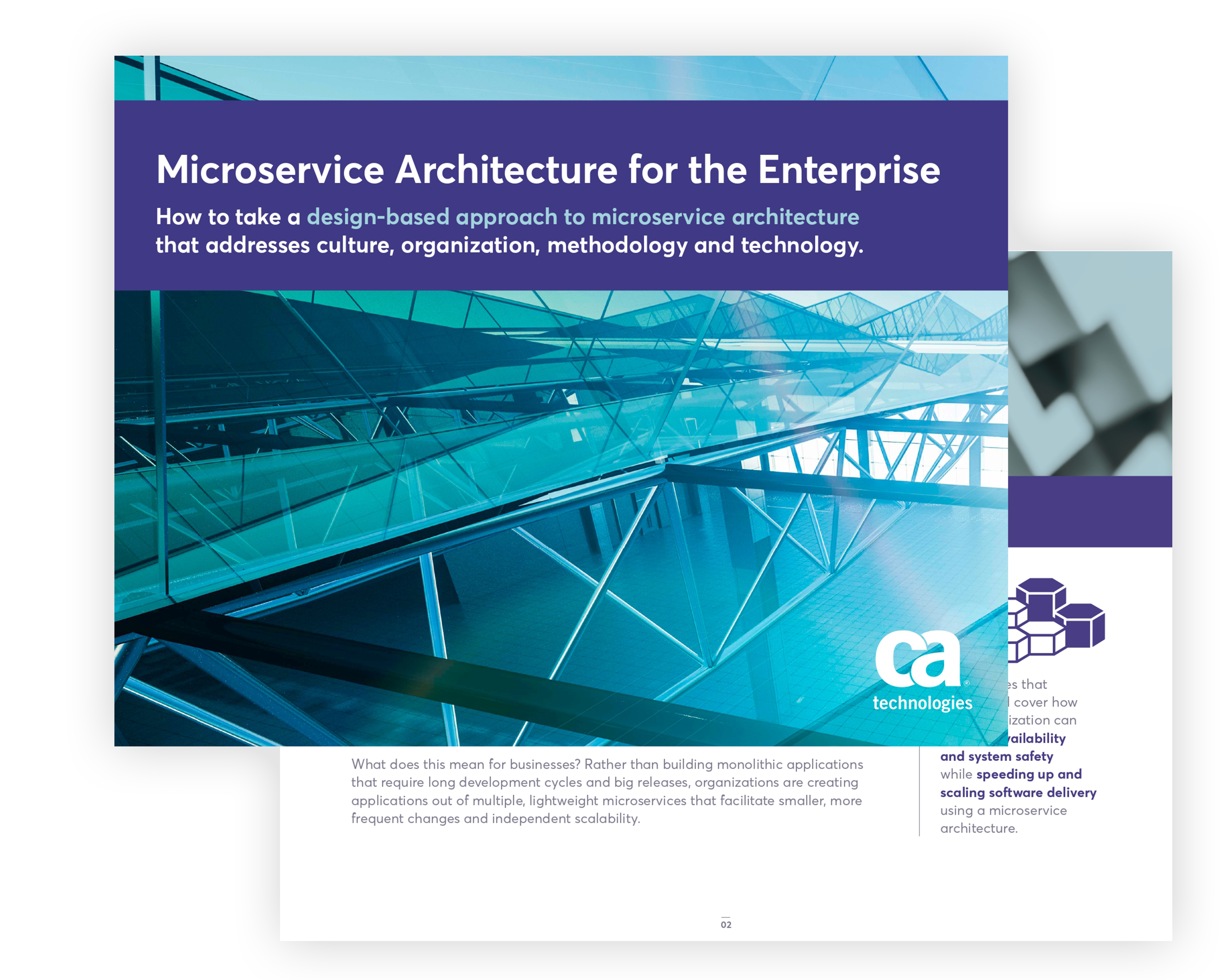 CA Microservices Enterprise