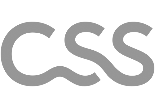 CSS Logo